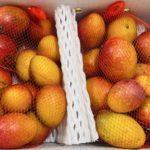 ピンポン片側で1kg